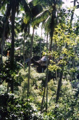 Pulau Weh / Sumatra / Indonesien - Bild 0